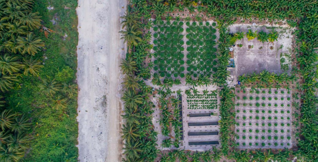Sunview Residence Kaashidhoo Exteriér fotografie